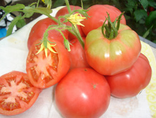 ����� ����� - 6,1 ���. - 0,2 ��.jpg