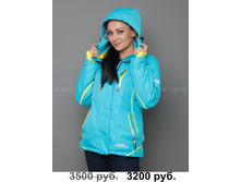 �-8006 �������