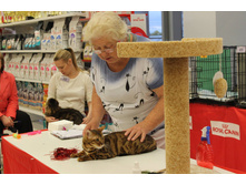 14258134 1102190146529704 1418600047118686141 o.jpg