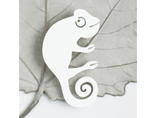 ����� �������� �����