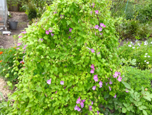 �������