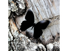 ��.����.����