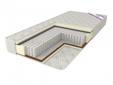 ������ �����