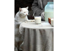 ��� ��������� � ������ �� �������� ������ ...