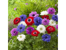 ������� ��.������� 7-8 (10��) ������ ���� 148,56 ���. ����� ���� 126,28 ���.jpg