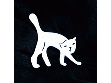 ����� ��� �����