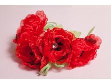 ������ 0090.jpg