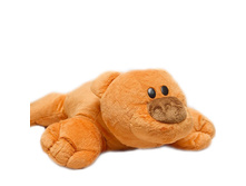 ����� �������.jpg