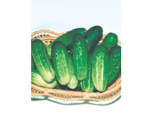 ������ ������� 5,60 ���. - 0,5 ��.jpg