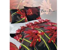 ��� ����.jpg