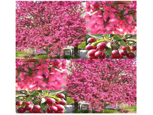 ������ ���. ������ ����� 5-6 ��� -1000�.jpg