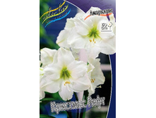 269,2���. ��������� �������� ����(�������� ���� �� 1 ��., ����������� ����� 1��.).jpg