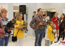 14241519 1102192089862843 5090884531995258327 o.jpg