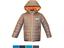 � �3137  ���� 2500 ���. ������ ��� �����