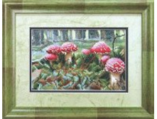 ��-437 � 20x13 ��