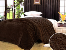 ���� "��������" (����������)