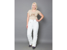 01303 �����