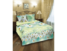 ��� ���� De Luxe 79351