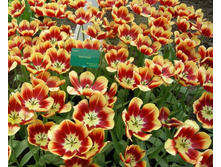 ������� ��� ����� 11,3 ���. �� 1 ��. ����� ����������� ������ 5 ��. (�.�. 5,10,15,20,25 � �.�..) ��� ������������ ������. ������� ����� ��� ���� � ��������.JPG