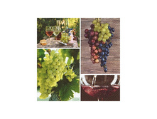 Urozhay-vinograda.jpg