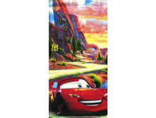 ������� ������� ������ 28x28 ����� ����� 13 ���