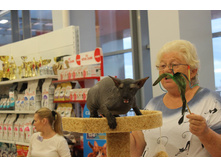 14258154 1102189733196412 6884111217055435274 o.jpg