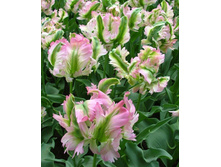 ������� ���� ���� 130,4 ���. ��. (� ��� 5 ��.) �������� � ���� � ���������. ����� ����������� ��������. ������ 1 ��� 2 �������� ��� �����.jpeg