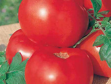 ����� ������� - 5,90 ���. - 0,2 ��.jpg