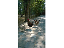 WP 20160907 12 43 36 Pro.jpg