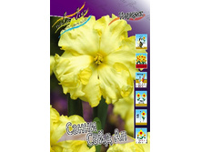 49,16���. ������� ����� ���� ��(�������� ���� �� 5 ��., ����������� ����� 1��.).jpg