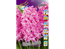 ������� ���� ����� 20,5(�������� 5 ��).jpg