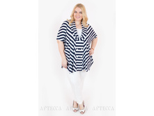 ������ V006.10