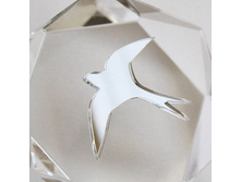 ����� �������� �����������.�������� ������������ ����� �� ������������� ������. ���������� ����������� ������ �� ������.