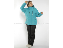 V-8015 �������