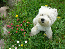 ���� 6 �������