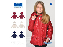 ������������ ������