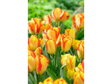 ������� �������� 12+ (5��) ������ ���� 191,41 ��� ����� ���� 162,69 ���.jpg