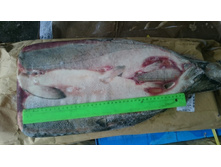 ���� ������ ����� 2016 �. ����  �� ����� 235,00