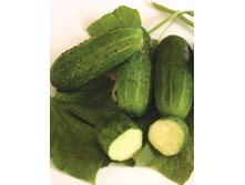 ������ ������-7,90 ���. �� 10 �������.jpg