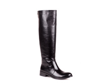 219-03-112�� It 1.jpg