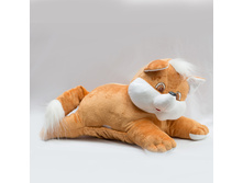 ������� ����.jpg