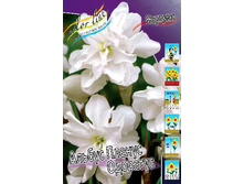 40,74���. ������� ������ ������ ��������(�������� ���� �� 5 ��., ����������� ����� 1��.).jpg