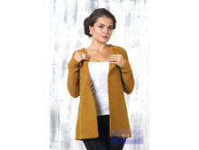 1395 �������.JPG