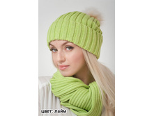 ������ ������ � �������� ���� 810