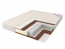 ������ ��������