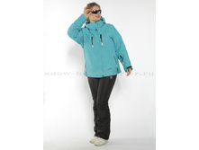 V-8015 �������