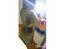 48-50 �. ���� ���.��������� 7000 �.