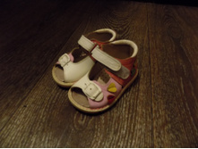 ������� ���� ����