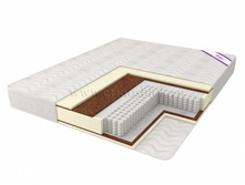 ������ �����