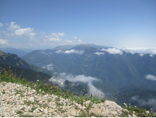 ���� 2014 687.jpg